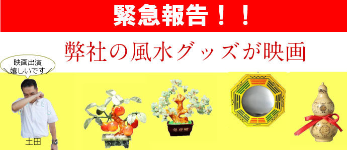 向井理、片桐はいり主演 小野寺の弟 小野寺の姉 風水グッズ出演