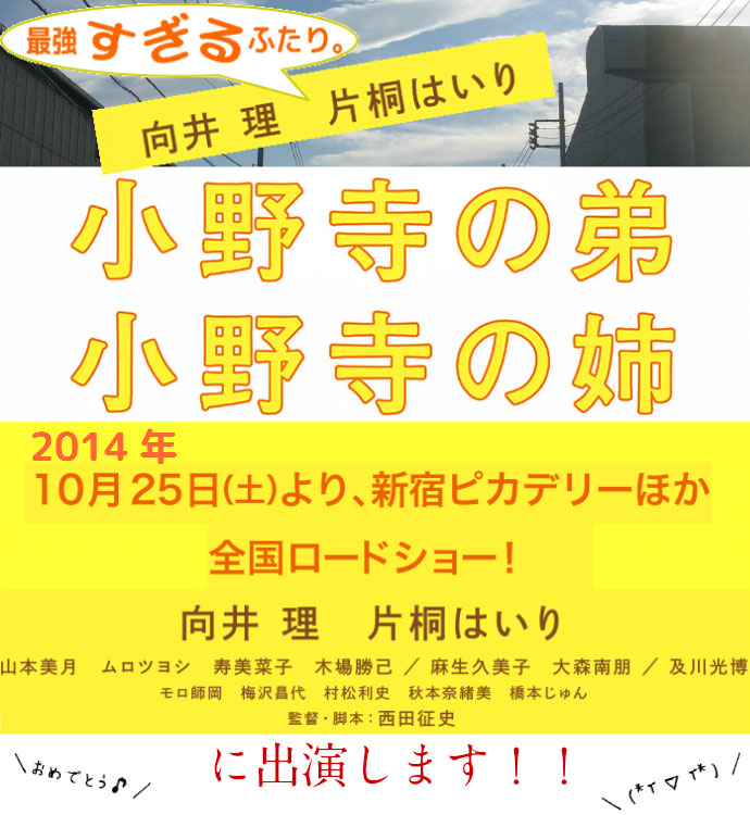向井理、片桐はいり主演 小野寺の弟 小野寺の姉 風水グッズ出演