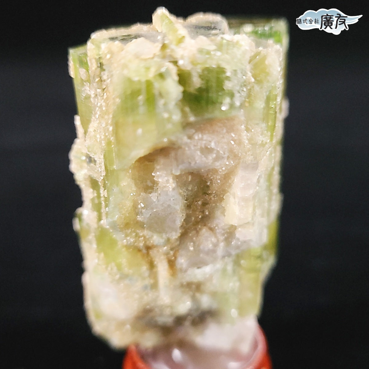 最高級のオウムの石彫刻 水晶とウォーターメロントルマリンの台座付き 最高級のオウムの石彫刻 水晶とウォーターメロントルマリンの台座付き 最